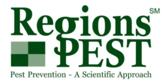 Regions Pest